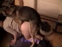 Animated dog porn
